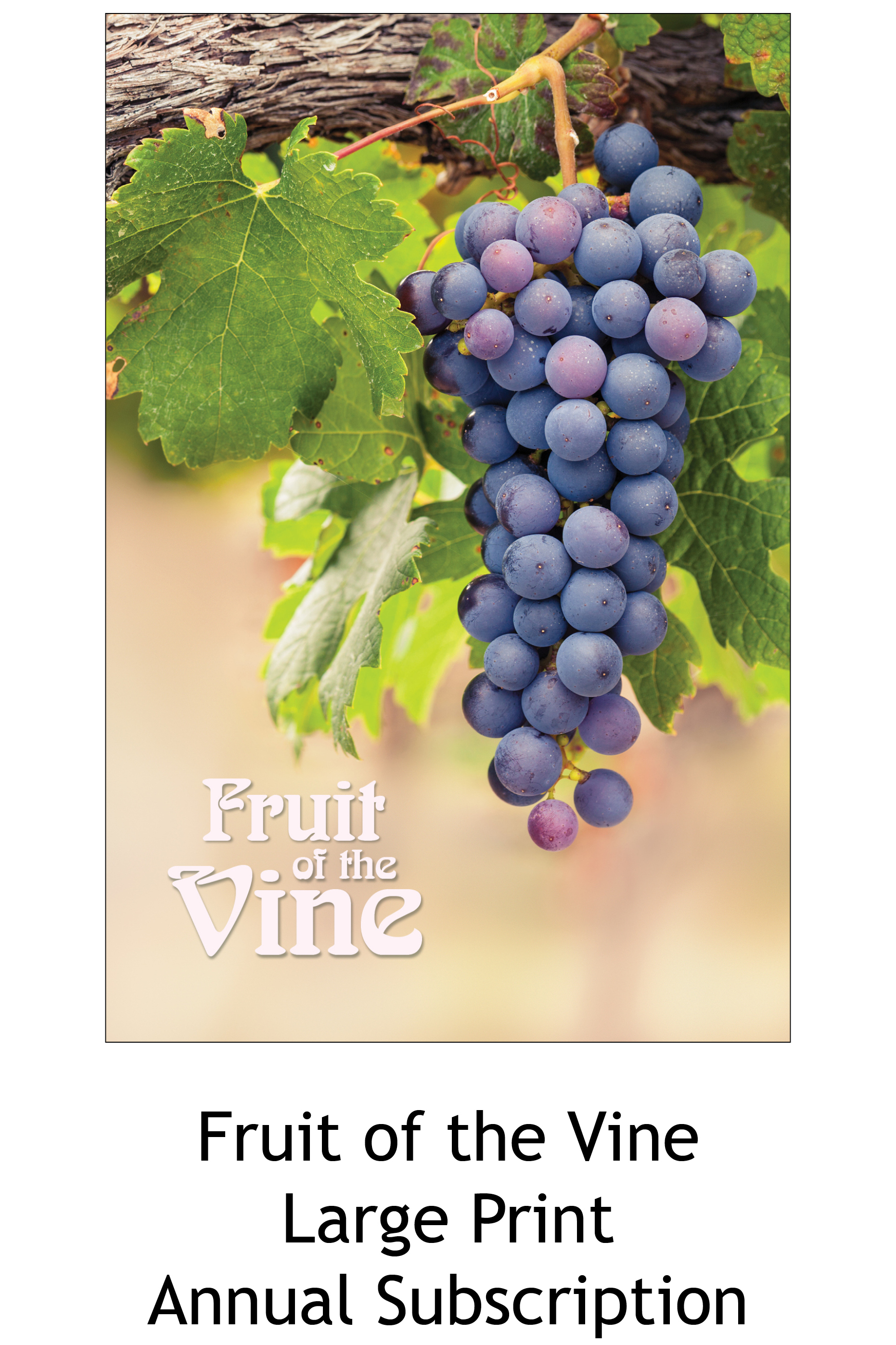 Fruit of the Vine (large print annual subscription)
